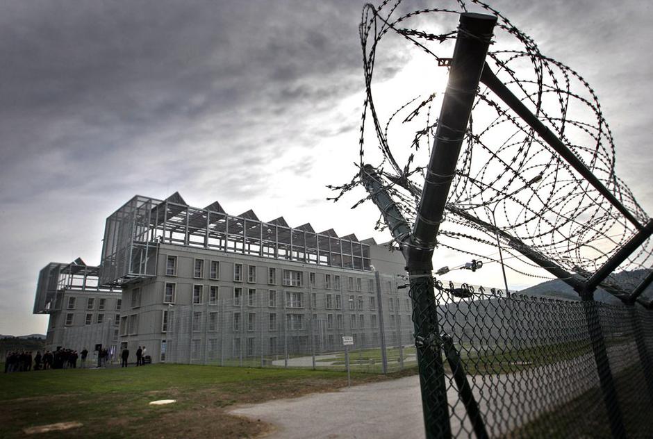 dob | Avtor: Boštjan Tacol