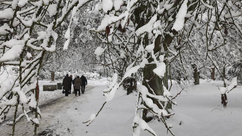 pokopališče hamburg