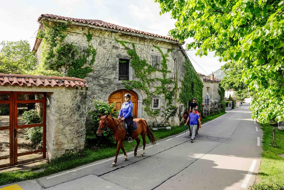 Ranč Tunink | Avtor: Saša Despot