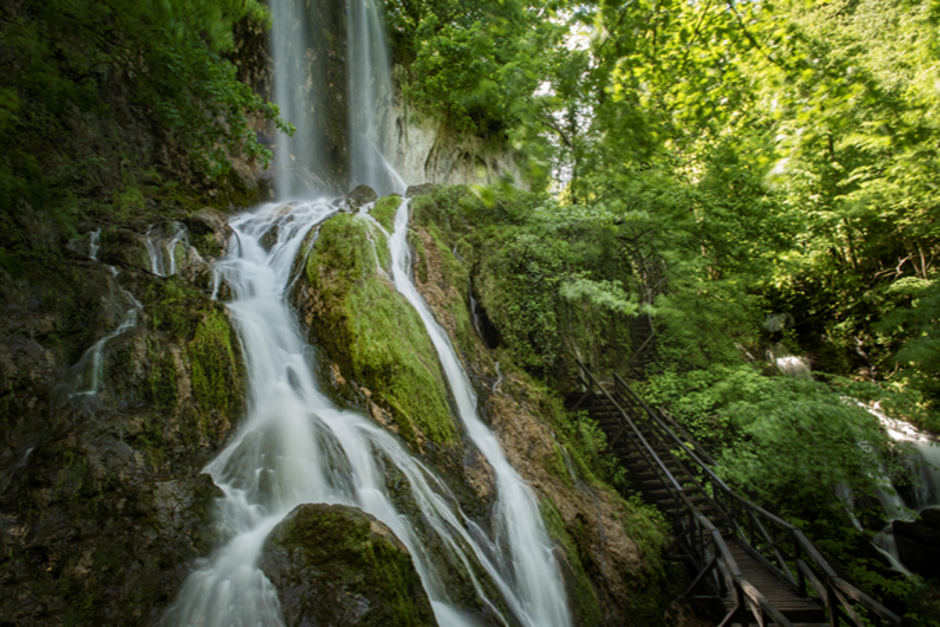 Naravni park Papuk | Avtor: Nina Djurdjevic