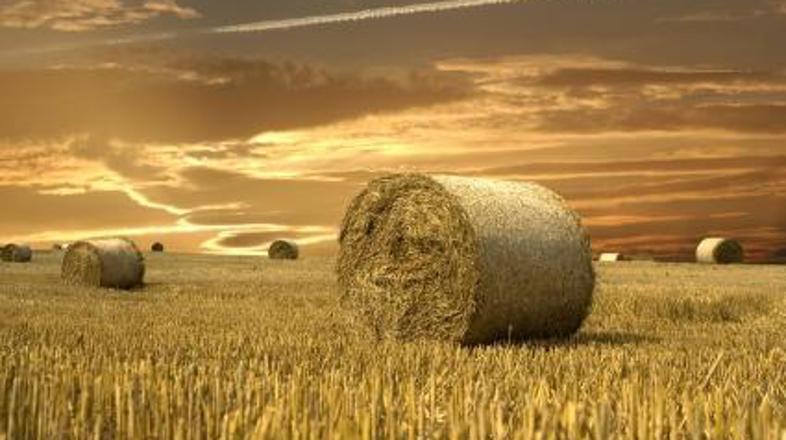 Ljudem, ki so bili prepuščeni boju ali harmoniji z naravo, so kilogrami hitro ko