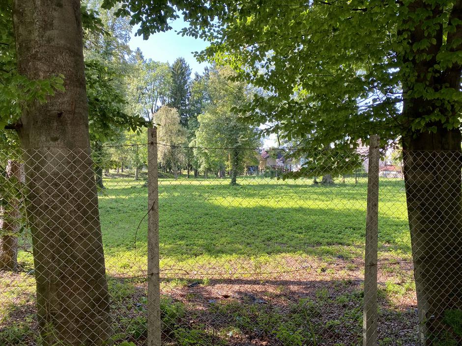  | Avtor: Peter Šalamon