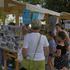 festival živali 2026