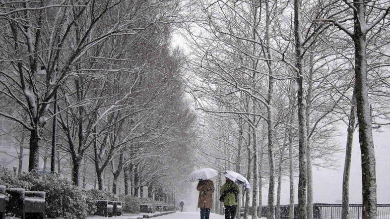 V petek se obetajo manjše padavine v obliki snega, ki bodo prekrile tudi nižinsk