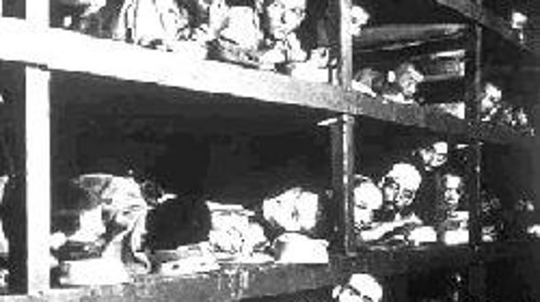 27. januar naj bi bil dan spomina na več kot 10.000 slovenskih žrtev nacifašizma