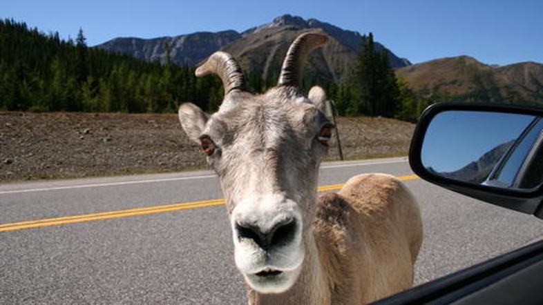 Slika je simbolična. (Foto: shutterstock)