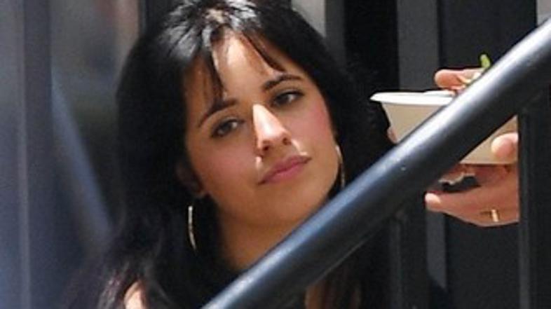 Camila Cabello, Shawn Mendes