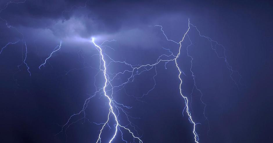 Strela | Avtor: Reševalni pas/Twitter