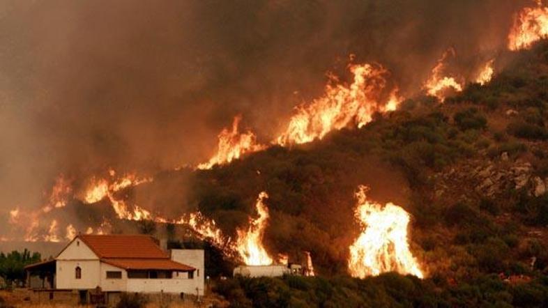 Zaradi poletne vročine je Grčija v požarih utrpela hude izgube.