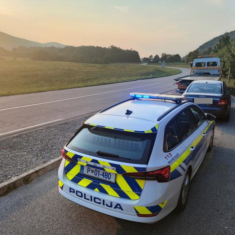 Novomeški policisti