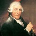 Prva prireditev v Haydnovem letu bo 29. januarja.