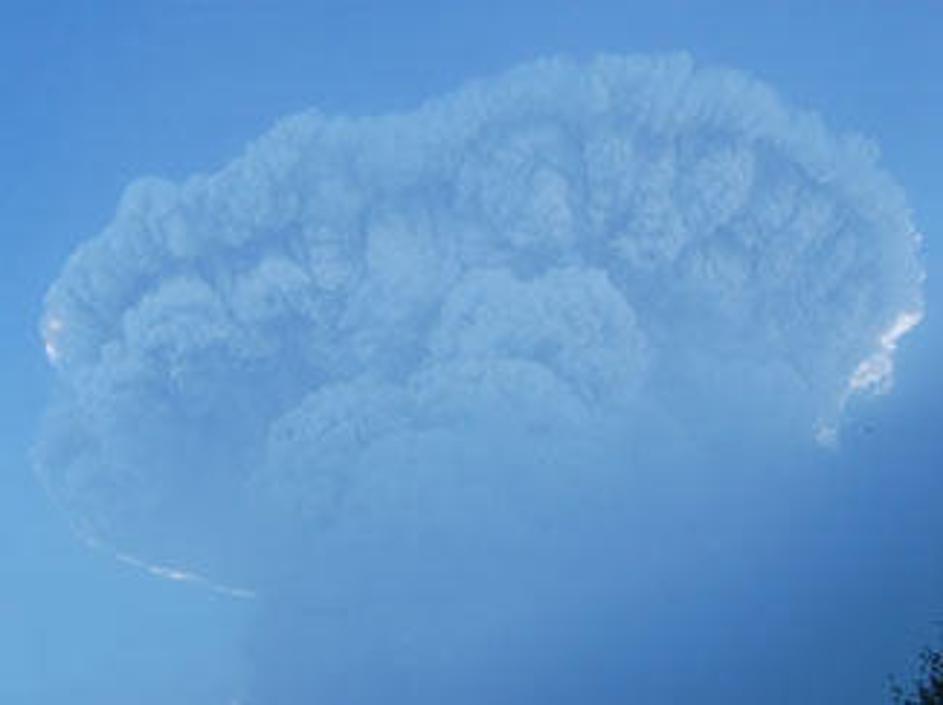 Vulkan je v zrak izbruhal ogromen oblak pepela.