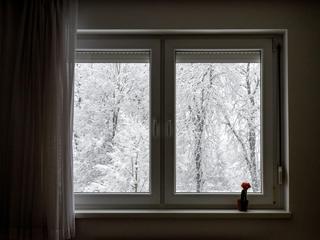 okno, sneg