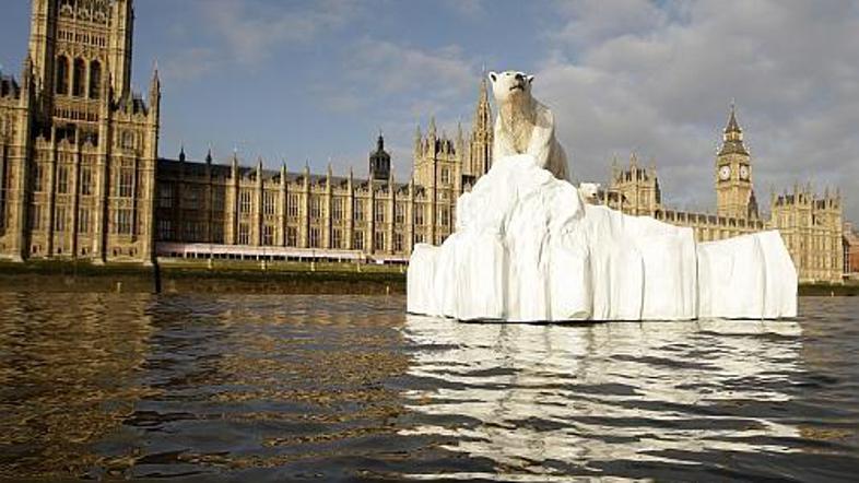 Londončani so se čudili severni medvedki in njenemu mladiču, ki sta jih gledala 