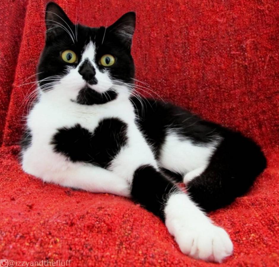 Mucka | Avtor: Instagram