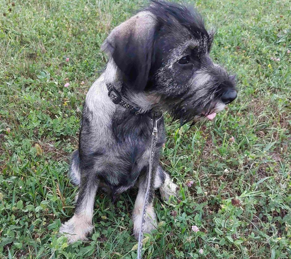 Barva poper sol | Avtor: Andreja Cilenšek