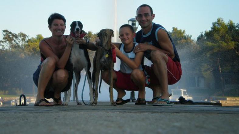 Slovensko društvo za pomoč hrtom