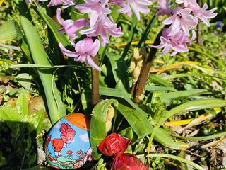 pirhi, lov na jajca, velika noč