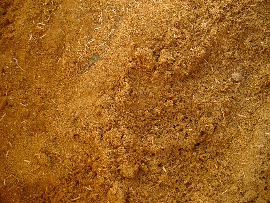 Ilovica | Avtor: arhiv Gnezdo