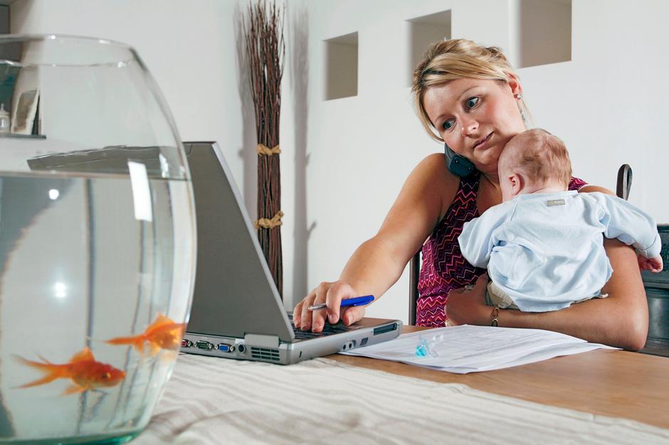 Računalnik | Avtor: Profimedia