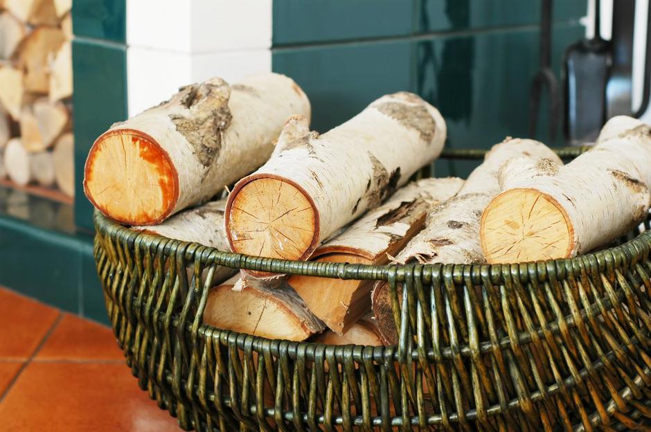 drva | Avtor: Shutterstock