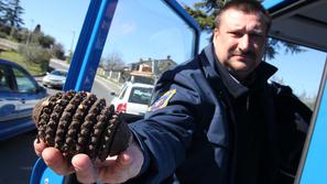 “Ljudje naj ob takih najdbah vselej pokličejo strokovnja-ke,” svetuje Danilo Ger