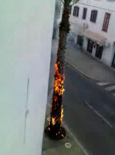 (Foto: Bralec Žurnala24)