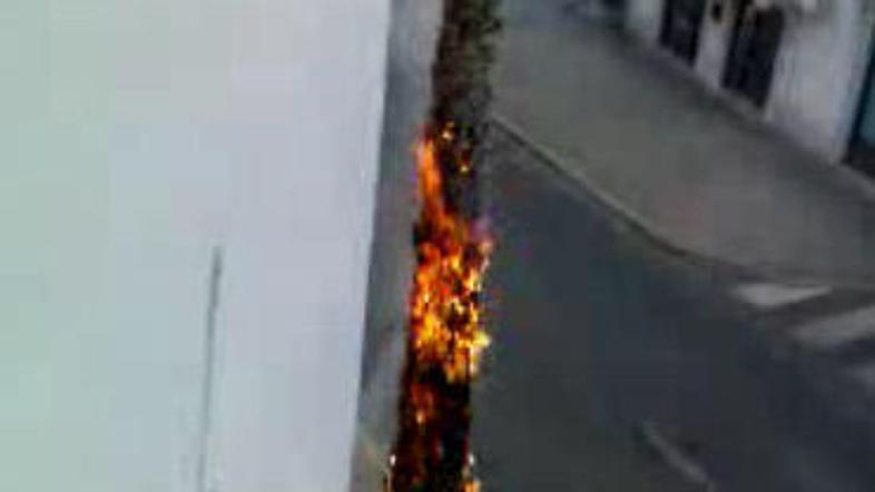 (Foto: Bralec Žurnala24)