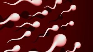 Redna menstruacija je nujna za naravno metodo kontracepcije.  (Foto:Shutterstock