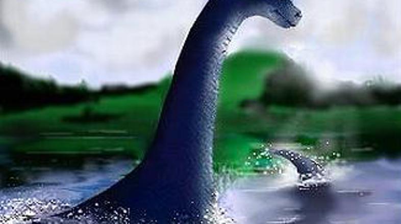 O Nessie je bilo napisanih ogromno knjig, oživela pa je tudi na neštetih skicah,
