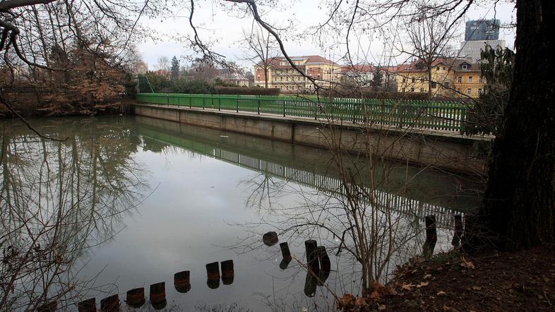 Strokovnjaki z zavoda za ribištvo bodo nadzorovali praznjenje ribnika in ob tem 