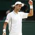 Novak Đoković Wimbledon finale 