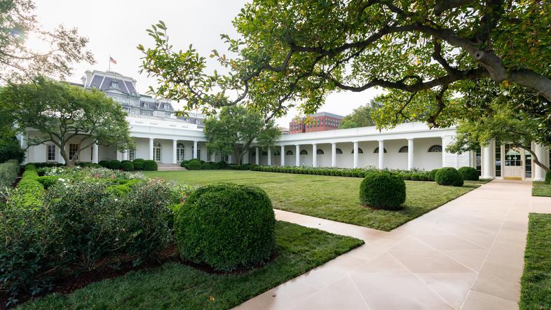 Bela hiša vrt rose garden