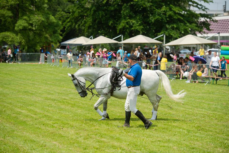 Festival za ljubitelje živali 2023 | Avtor: Anže Petkovšek