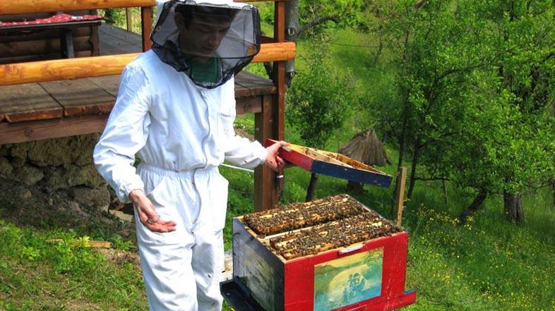 (Foto: Nada Černič Cvetanovski)