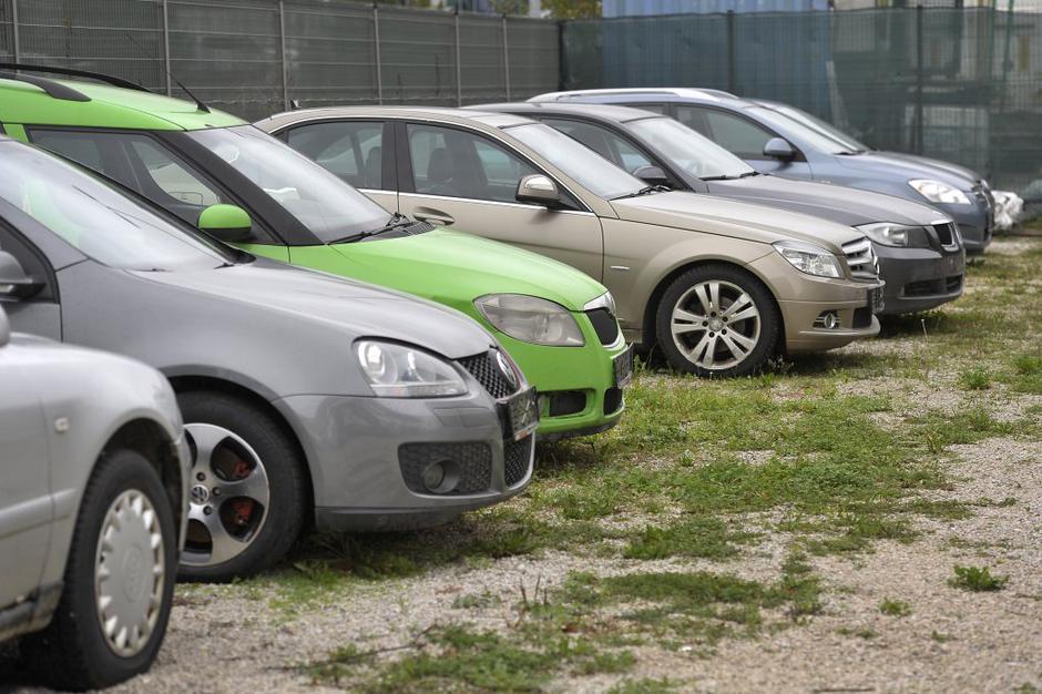 furs | Avtor: Anže Petkovšek