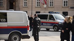 avstrijska policija