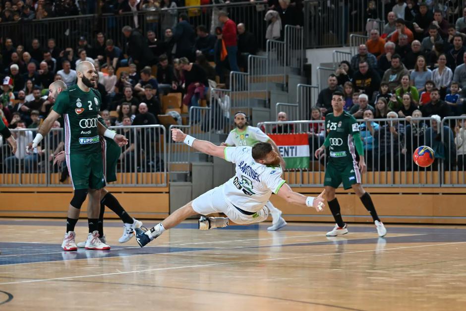 Blaž Blagotinšek | Avtor: Twitter Rokometna zveza SLO