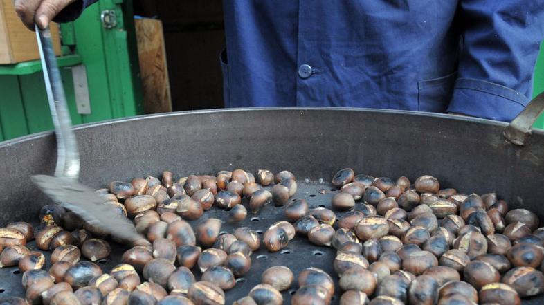  Na MOL so za prodajo kostanja ponudili 14 lokacij – eno manj kot lani. Na sezna