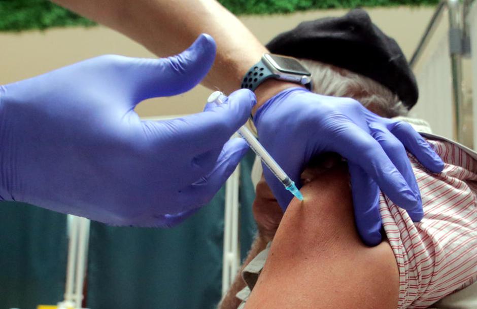 Cepljenje | Avtor: Epa