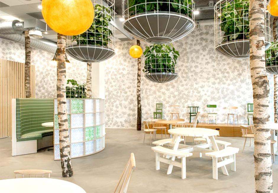 sodobne lončnice_Cube | Avtor: Žurnal24 main