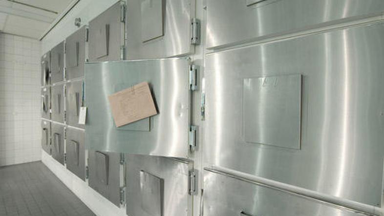 (Foto: Shutterstock)