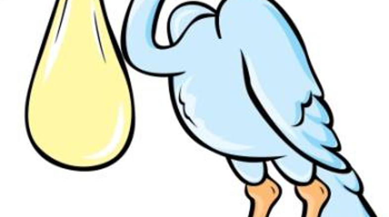 Kako velik bo novorojenček?