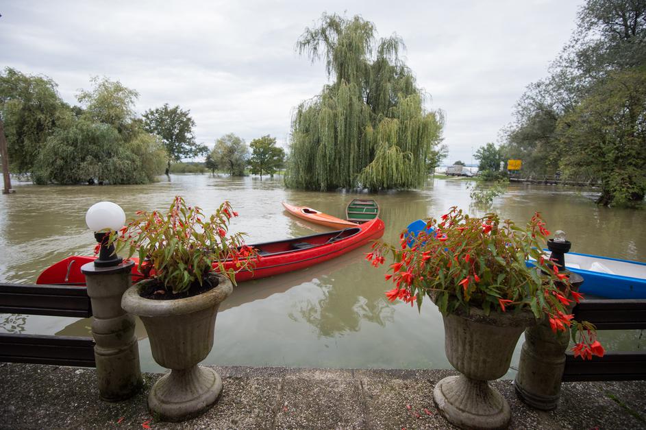 Kostanjevica na Krki