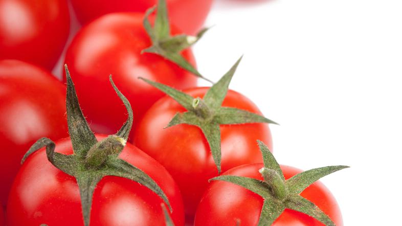 Med mesojedimi vrstami rastlin so tako po novem petunije, okrasne vrste tobaka, 