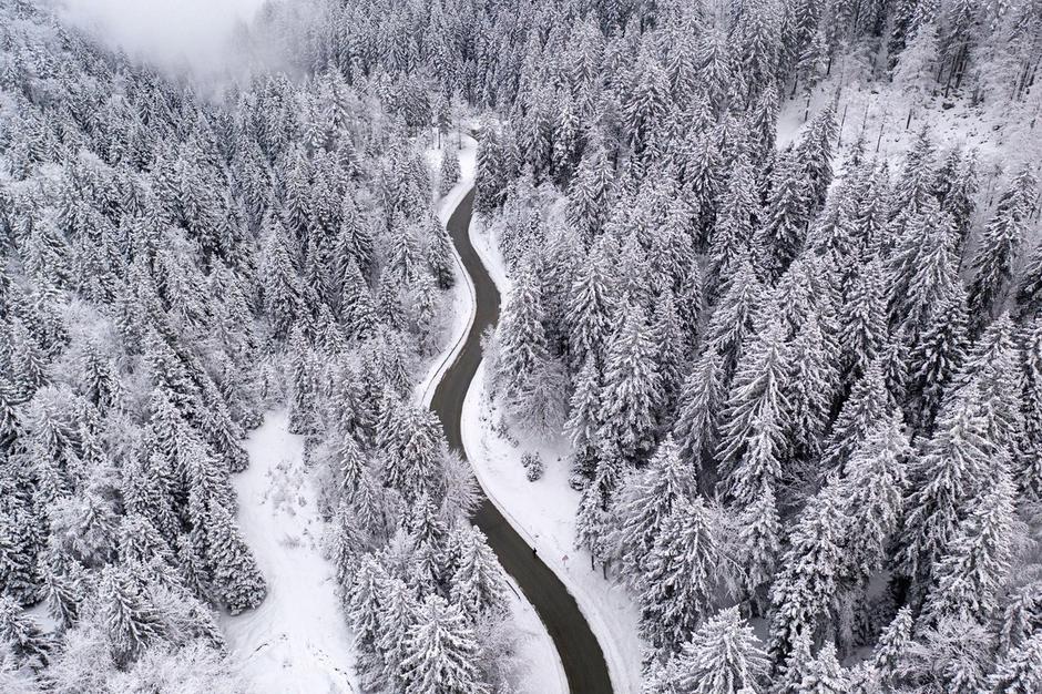 Slovenija gozd pokrajina sneg | Avtor: Profimedia