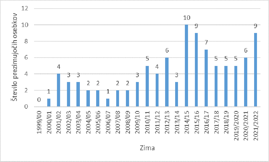 Prezimovanje bele štorklje v Sloveniji | Avtor: DOPPS