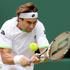 david ferrer