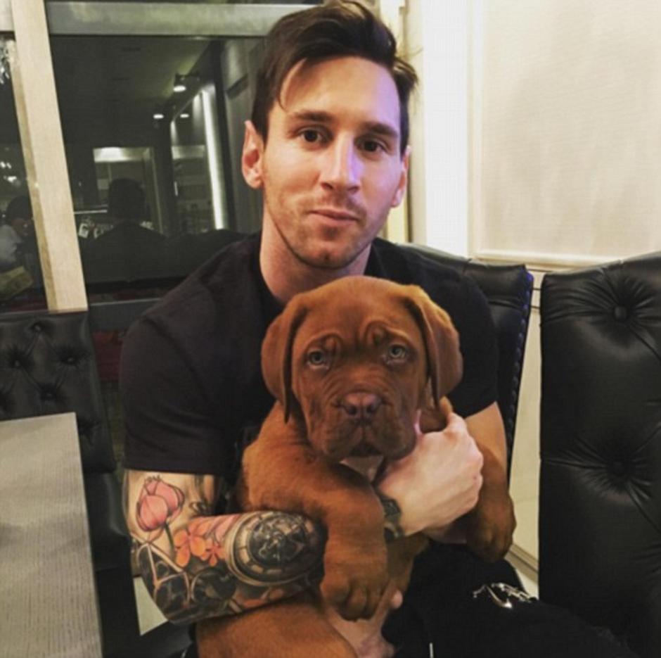 Messi bordojska doga | Avtor: Instagram