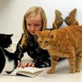 Otroci berejo mačkam